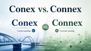 Conex vs. Connex