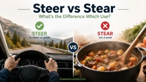 Steer vs Stear