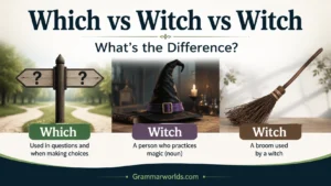 Which vs Witch vs Witch What’s the Difference?